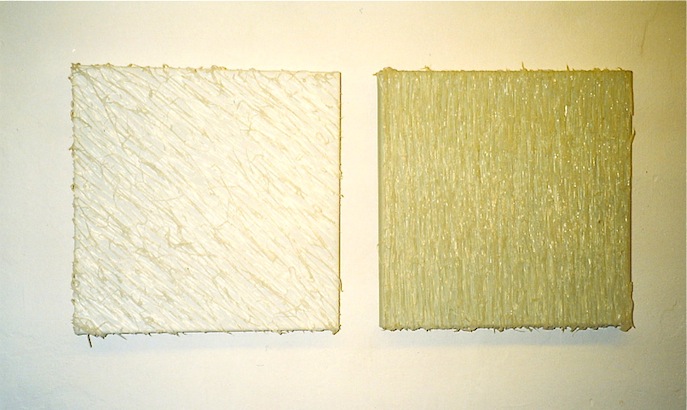 12 carien scheepstra