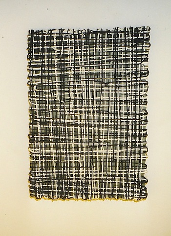 13 carien scheepstra