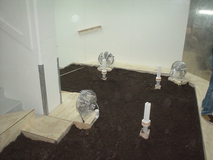3 DSC01422