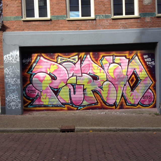 5 IMG_5376