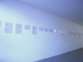 3 microcodes