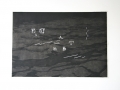 2 tim zweers zero one nr12