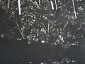 3 tim zweers zero one nr6