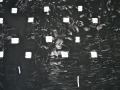 4 tim zweers zero onenr14 (detail)