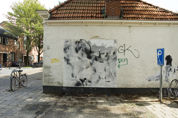 9 bildaussen