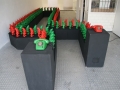 5 daniel maalman