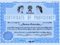 6 certificate800