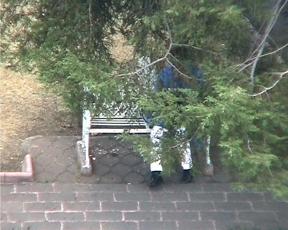 19 linda "Park", 2002