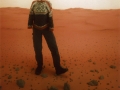 mars88