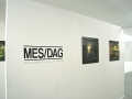 1 mesdag : job vd zwan