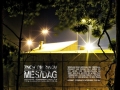 Mesdag800