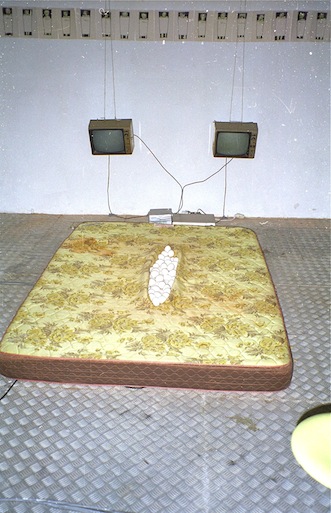 11 afb1