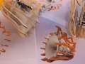 10 Lampyridae2