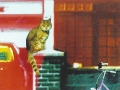 11 fox9 detail