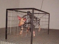 12 Kranendonk-1
