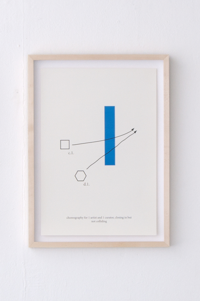 5 Choreography for 1 artist and 1 curator (45 x 32 cm ) © Tim Hollander, 2014 kopie