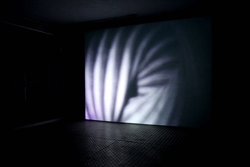 16 Sign mov002: 2010