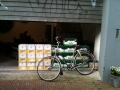 warsteiner