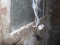 moxibustion3