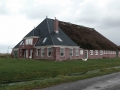 polderhouse copy