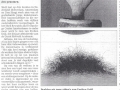 11 parool 9:11:02 krijl