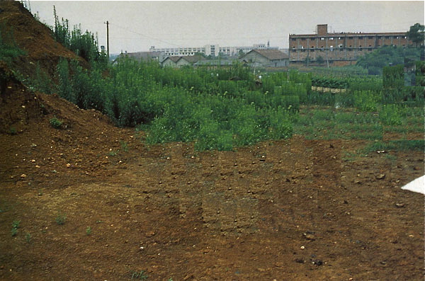 4 casper rila China
