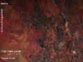 Taqwa Bn Ali :  عاشق الشجرة | The Tree Lover